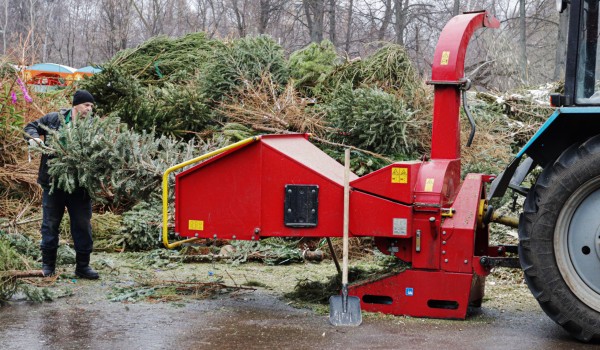Более 14 тыс. деревьев москвичи принесли на переработку в рамках акции «Елочный круговорот»