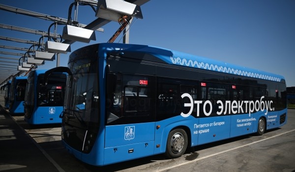 Дептранс: В ТиНАО ввели 5 новых автобусных маршрутов за 2 года