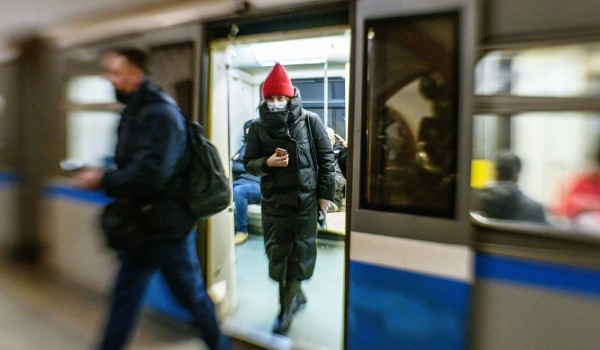 Банку с тарантулом нашли в забытом в московском метро рюкзаке