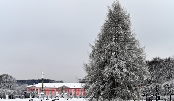 Облачная погода, снег и до 5 градусов мороза ожидаются в Москве 20 февраля