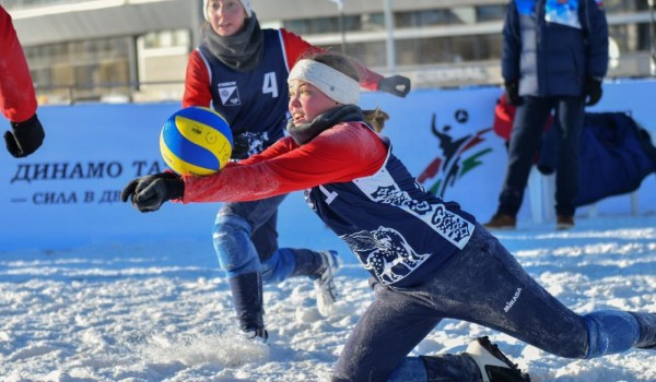 Первый этап Кубка России по волейболу на снегу пройдет на ВДНХ