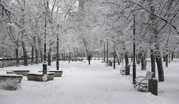 Облачная с прояснениями погода, снег и до 3 градусов мороза ожидаются в Москве 28 февраля