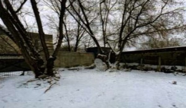 В Измайловском парке ликвидировали комплекс заброшенных самостроев