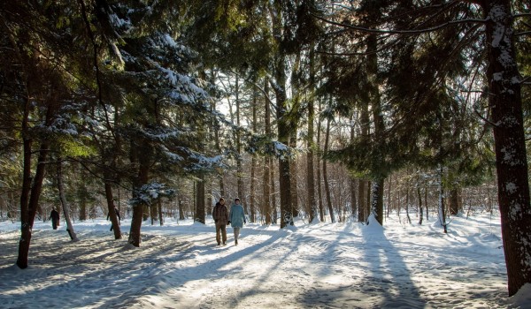 Активные граждане приняли участие в конкурсе «Зима на природных территориях СВАО»