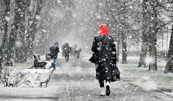 Москвичей предупредили о мокром снеге и усилении ветра до утра воскресенья
