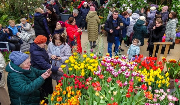 Горожанам напомнили о возможности посетить выставку тюльпанов «Репетиция весны»