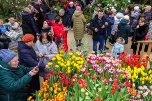 Ефимов: Оборот цветочных магазинов 8 марта вырос в 13 раз