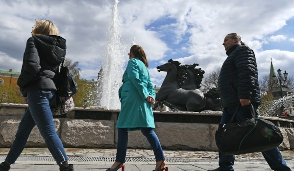 Вильфанд: Причиной быстрого таяния снега в Москве стала «дружная весна»