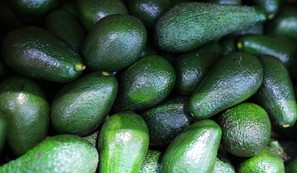 Нутрициолог рекомендовала школьникам добавить в рацион микрозелень и авокадо в период подготовки к ЕГЭ