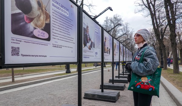 Фотовыставка Комитета ветеринарии на Тверском бульваре