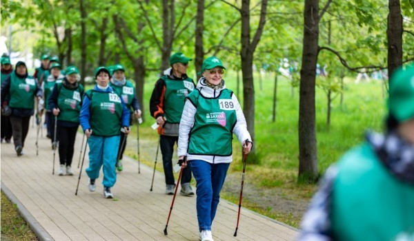 Всероссийская акция «10 тысяч шагов к жизни» пройдет 24 и 25 июня