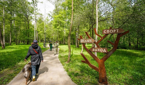 Собянин: В ТиНАО с 2012 года обустроили более 30 уникальных и радующих местных жителей парков