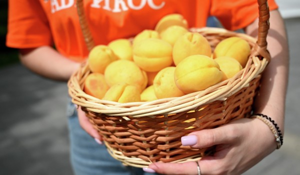 Нутрициолог рассказала о пользе абрикосов для сердца и сосудов