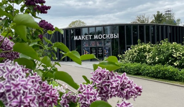 В павильоне «Макет Москвы» прошли съемки макета с использованием роботизированного тросового съемочного комплекса