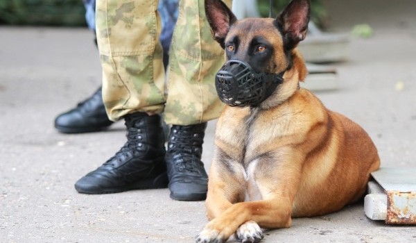 Столичный ОМОН «Меч» на транспорте завершил полевой выход