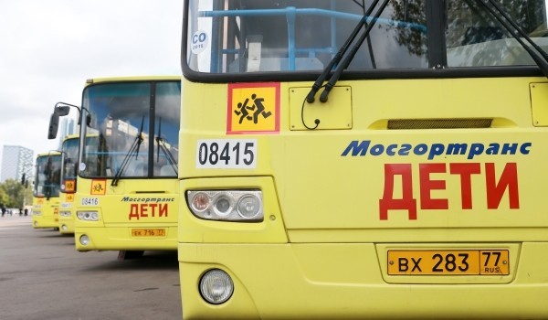 Сотрудники ГИБДД выявили 14 нарушений при организованной перевозке детей в Москве 24–31 июля