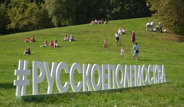 Более 225 тыс. человек посетили фестиваль «Русское поле» в Москве