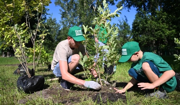 Собянин: Открыли прием заявок на технологический конкурс «Зеленая Москва»