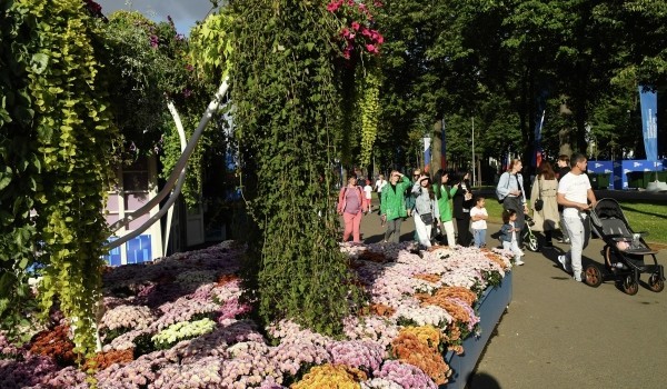 Около 1,9 тыс. деревьев и кустарников привели в порядок за весенне-летний период за городом