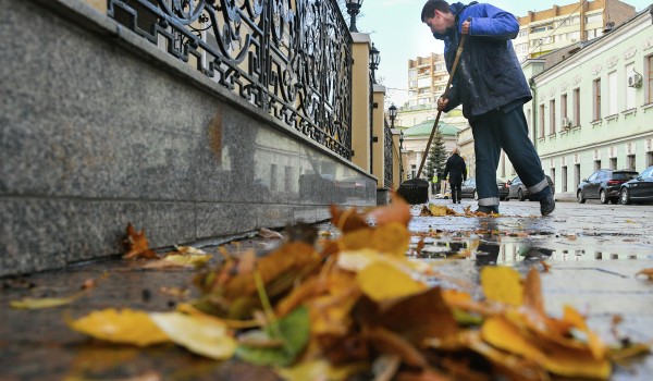 Коммунальные службы Москвы стали в два раза чаще подметать улицы из-за листопада