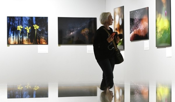 Порядка 500 снимков направили в номинацию «Дикая природа Москвы» фестиваля «Золотая черепаха»