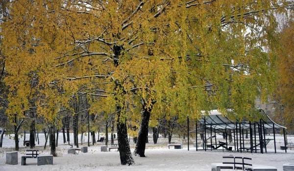 Жителям столицы рассказали, когда в Москву вернется холод