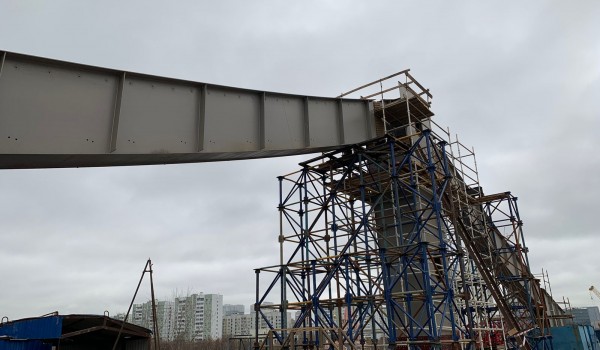 Загрутдинов: Мост между Мневниковской поймой и Филевским парком введут в 2025 году
