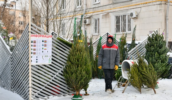 Город выставил на аукционы права на размещение елочных базаров на северо-востоке столицы и в Зеленограде