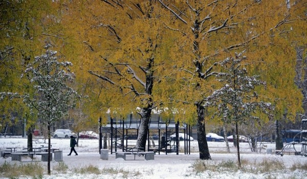 Синоптик Вильфанд предупредил о снегопаде в конце недели в Москве