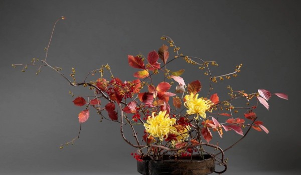 Растительно-цветочные композиции представят на выставке «Из осени в зиму» в «Аптекарском огороде»