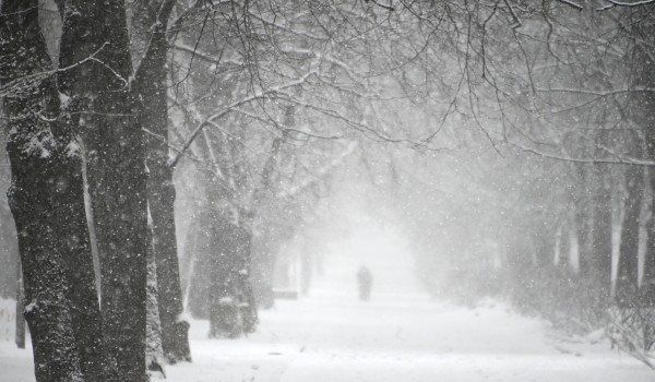Снег, метель и до 3 градусов мороза ожидаются в Москве 30 ноября