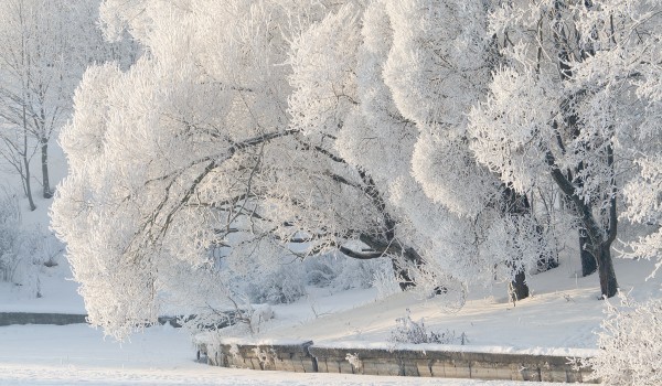 Облачная с прояснениями погода и до 14 градусов мороза ожидаются в Москве 7 декабря