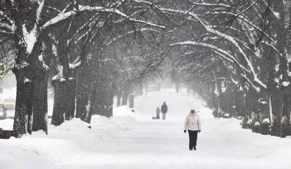 Облачная погода со снегом ожидаются в Москве 16 декабря