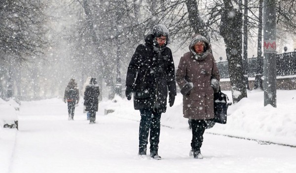 Свыше половины месячной нормы осадков выпало в Москве с вечера 14 декабря