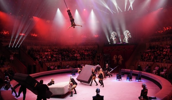 Горожан пригласили на всемирный фестиваль циркового искусства «Идол» летом 2024 года