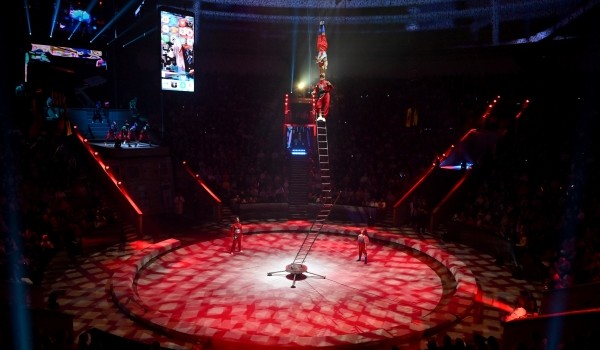Посещаемость Большого Московского цирка увеличилась более чем на 10% в этом году