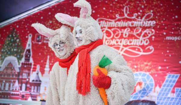 Более 1,5 тыс. новогодних представлений пройдут на фестивальных площадках «Путешествия в Рождество»
