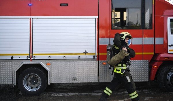 МЧС отметило снижение количества пожаров в столице и регионах в новогодние праздники