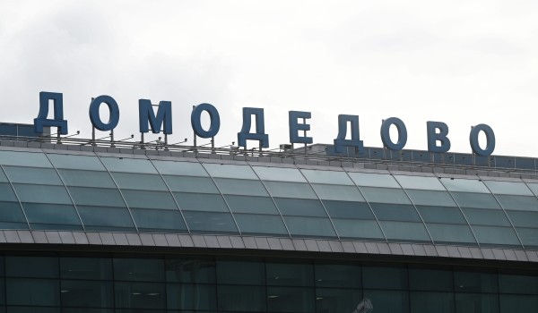 Частоту полетов из Домодедова в Санкт-Петербург увеличат с 15 января