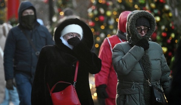 Облачная погода и до 13 градусов мороза ожидаются в Москве 12 января