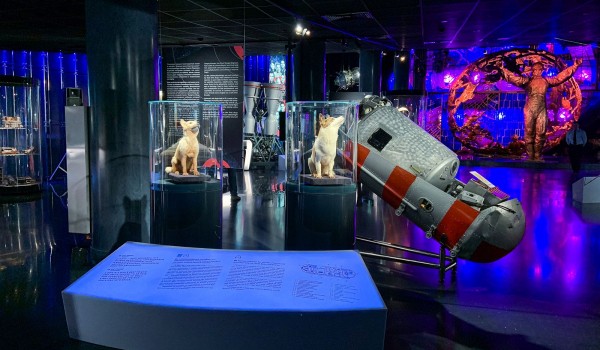 Музей космонавтики временно закроется на ремонт с 5 февраля по 8 февраля