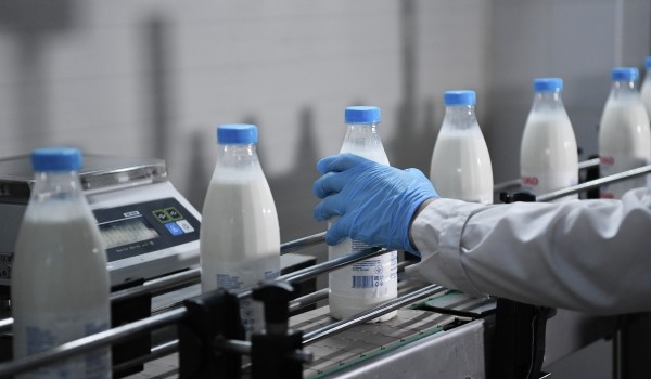 Россельхознадзор: Импорт кормов и молочной продукции снизился на 28% в 2023 году