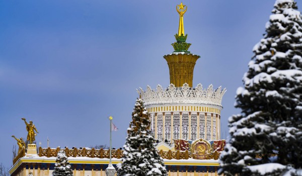 Москвичи смогут посетить ледовую гонку картингистов на ВДНХ