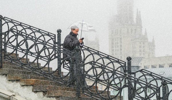 Облачная погода и небольшой дождь установятся в Москве в ближайшие дни