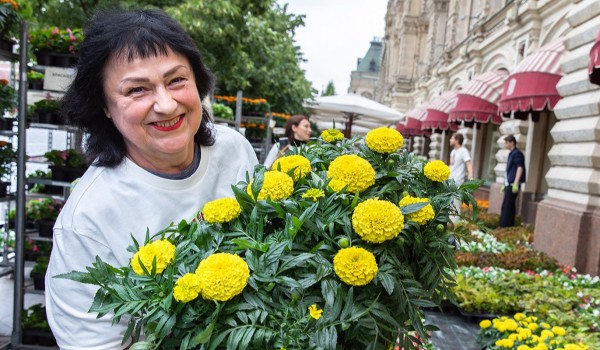 Горожан пригласили на курсы по садоводству и ландшафтному дизайну в преддверии дачного сезона