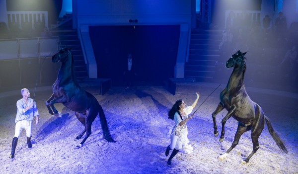 Новая постановка проходит в Центре национальных конных традиций на ВДНХ