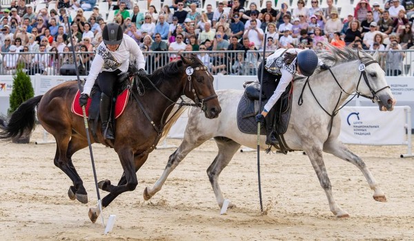 Всероссийские и региональные соревнования по конному спорту пройдут на ВДНХ