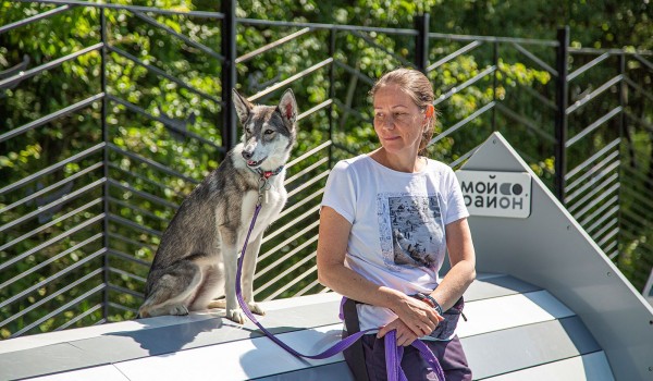 Посетителям «Лета в Москве. Все на улицу!» расскажут о работе служебных собак