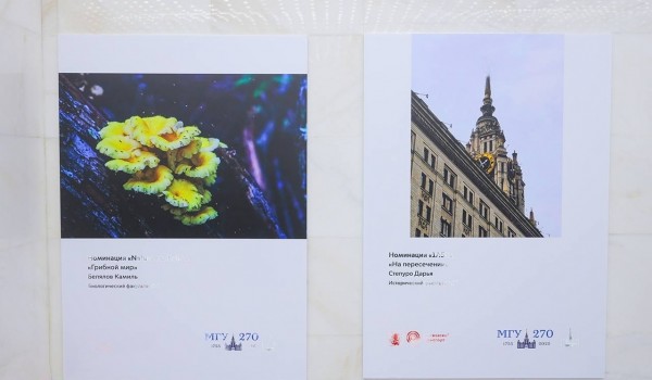 Выставка фоторабот студентов и преподавателей МГУ открылась в эскалаторной галерее метро