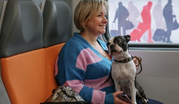 ЦППК в рамках акции подарит кулоны-адресники пассажирам с животными